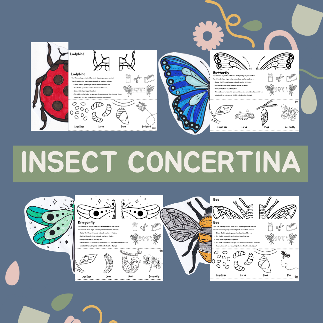 Insect Concertinas