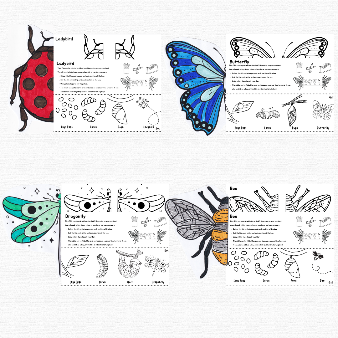 Insect Concertinas
